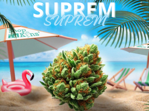 Fleurs CBD Suprem