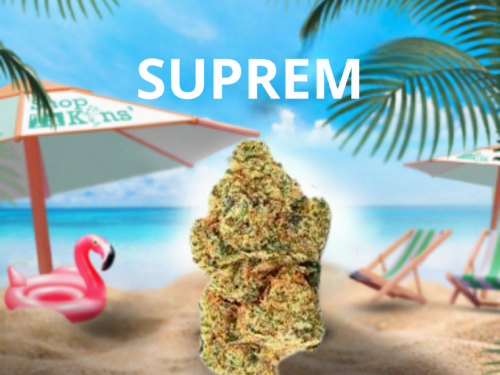 Fleurs CBD Suprem