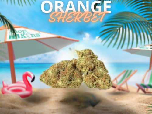 ORANGE SHERBET